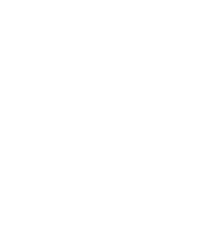 burton logo